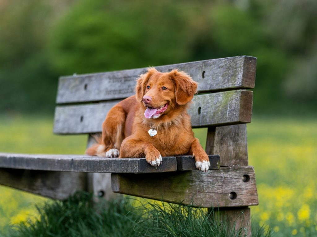 jamie-street-YxRHkHBcoQs-unsplash